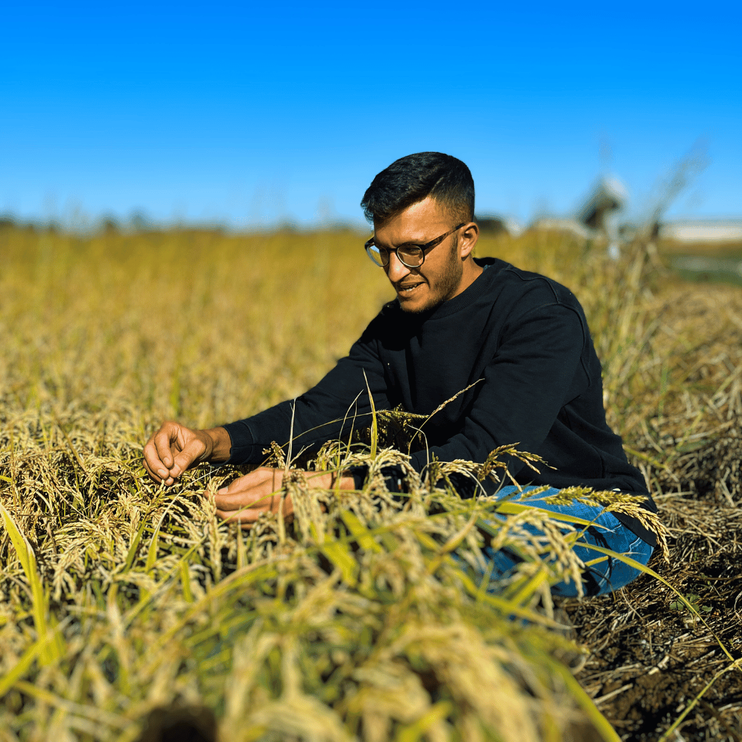 artigiani al lavoro.png__PID:694bbbb9-32bf-4c5d-9ed4-ab2fb06d0176